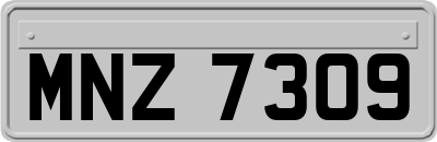 MNZ7309