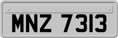 MNZ7313