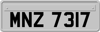 MNZ7317