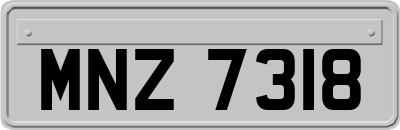MNZ7318