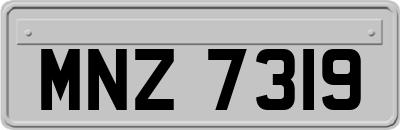 MNZ7319