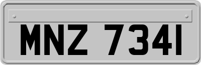 MNZ7341
