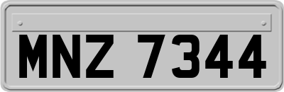 MNZ7344