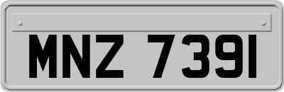 MNZ7391