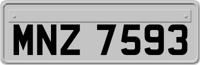 MNZ7593