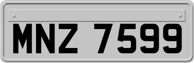 MNZ7599
