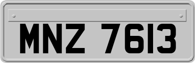 MNZ7613