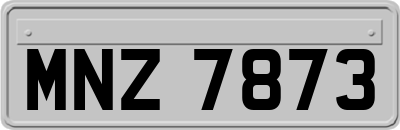 MNZ7873