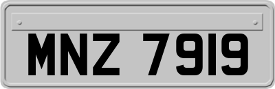 MNZ7919