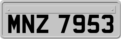 MNZ7953