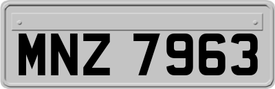 MNZ7963