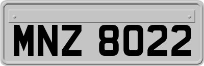 MNZ8022
