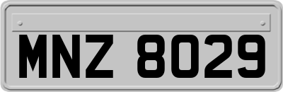 MNZ8029