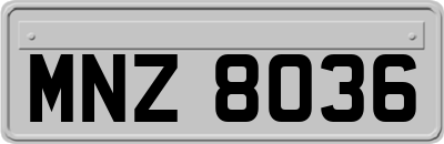 MNZ8036