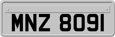 MNZ8091