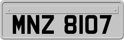 MNZ8107