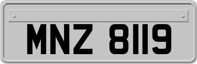 MNZ8119