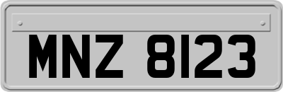 MNZ8123