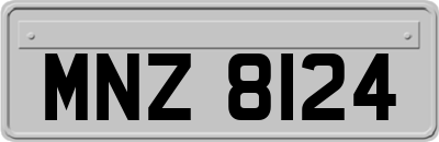 MNZ8124