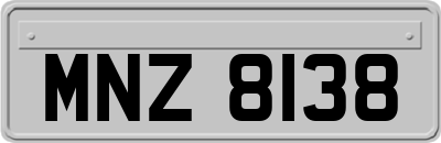 MNZ8138
