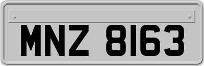 MNZ8163