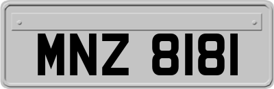 MNZ8181