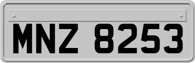 MNZ8253