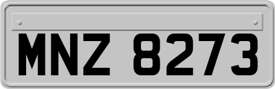 MNZ8273