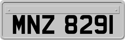 MNZ8291