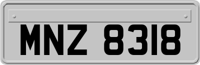 MNZ8318