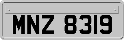 MNZ8319