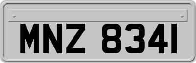MNZ8341