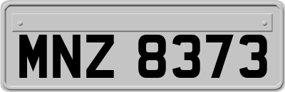 MNZ8373