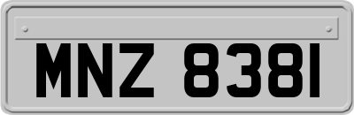 MNZ8381