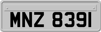 MNZ8391