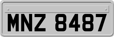 MNZ8487