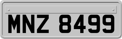 MNZ8499