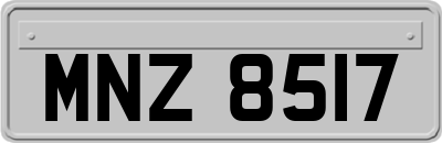 MNZ8517