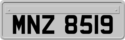 MNZ8519