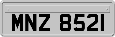 MNZ8521