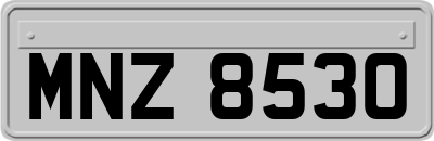 MNZ8530