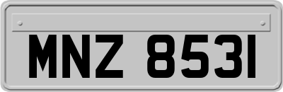 MNZ8531