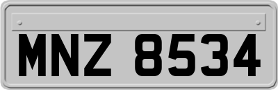 MNZ8534