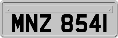 MNZ8541