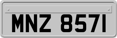 MNZ8571