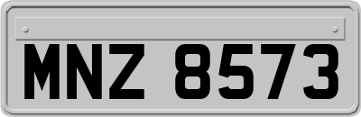 MNZ8573