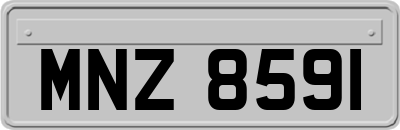 MNZ8591