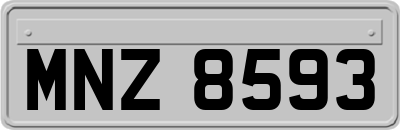 MNZ8593