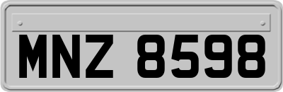 MNZ8598