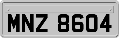 MNZ8604